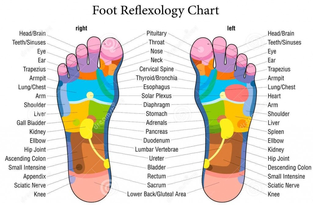 Reflexology Holistic Massage Therapist In Pontefract 